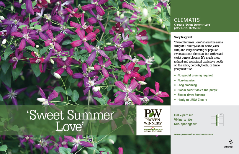 Proven Winners® ColorChoice®Spring Meadow Nursery